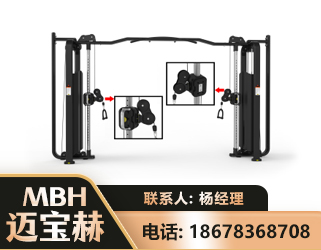 塔城大飞鸟训练器